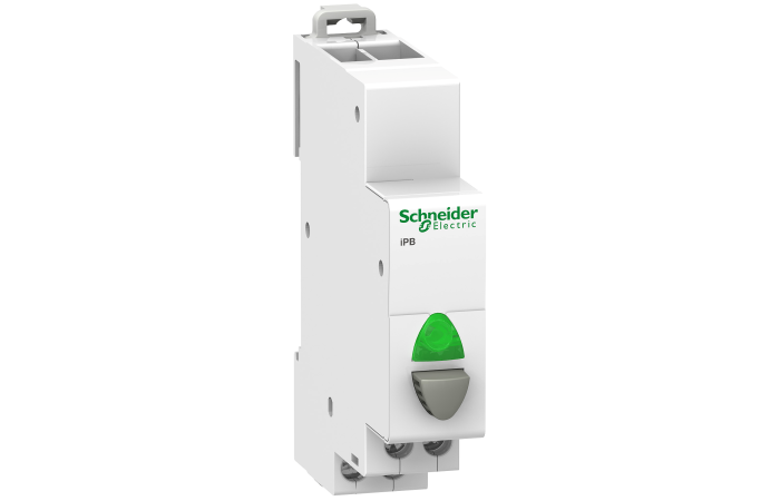 SCHNEIDER Tasteris A9E18036 iPB 1NO ar pogu un zaļu gaismas indikatoru, 110…230VAC, Acti9