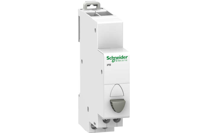SCHNEIDER Tasteris A9E18032 Ipb pelēks 1NO ar pogu Acti9