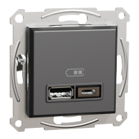 SCHNEIDER USB lādētājs EPH2700371 2,4 A+C , antracīts