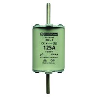 PROTEC Kūstošais drošinātājs 05100705 NH2 125A