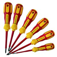 PROTEC Skrūvgriežu komplekts 05100789 6 gab.