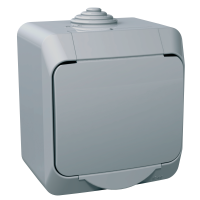 SCHNEIDER Rozete Cedar Plus WDE000641 1-vietīga ar zemējuma spaili IP44, pelēka, virsapmetuma