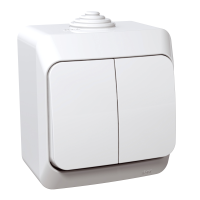 SCHNEIDER Dubultslēdzis WDE000550 Cedar Plus IP44, balts, virsapmetuma