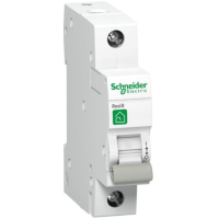 SCHNEIDER Slodzes atslēdzējs RESI9 R9S64125 1P 25A 230VAC