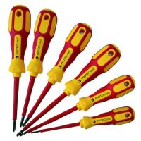 PROTEC Skrūvgriežu komplekts 05100789 6 gab.