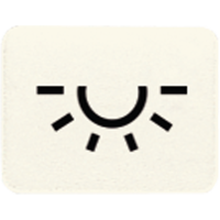 JUNG Ieliktnis 33L Symbol Licht