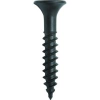 PROTEC Skrūve riģipsim rupjā vītne 05103288 3,9x45mm BF