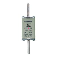 PROTEC Kūstošais drošinātājs 05103593 NH2 40A